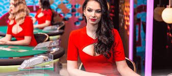 Antarmuka permainan blackjack live Playtech dengan opsi taruhan dan riwayat kartu
